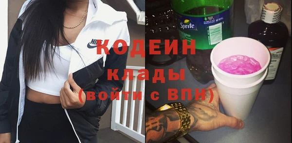 прущий лед Алзамай