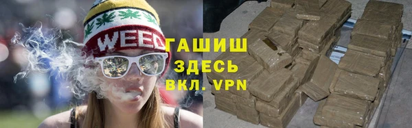 прущий лед Алзамай