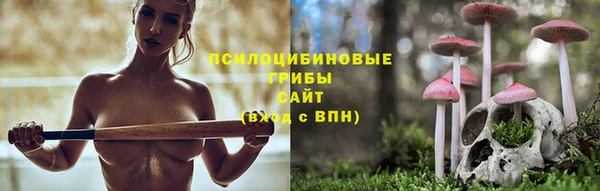 прущий лед Алзамай