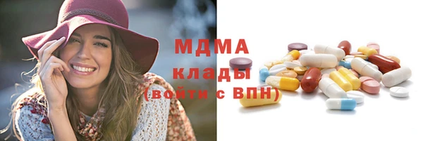 гидра Алексеевка