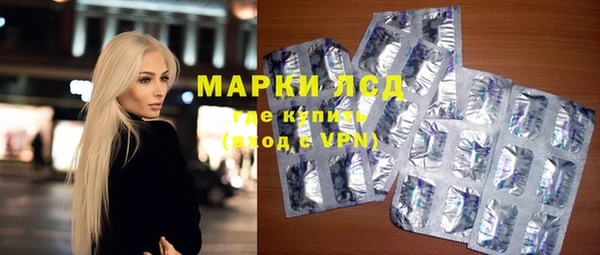 прущий лед Алзамай