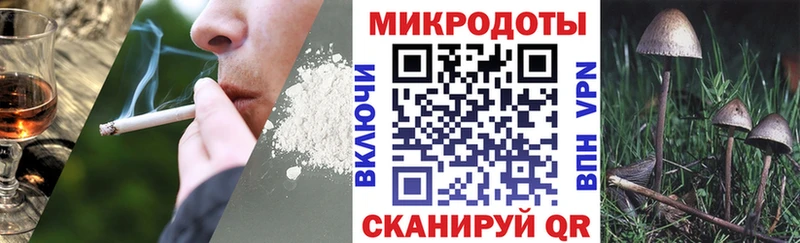 Псилоцибиновые грибы Psilocybine cubensis закладка кракен tor Оленегорск